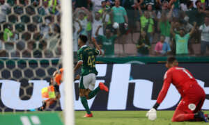 Palmeiras x Novorizontino - Alviverde quer seguir vivo na busca pelo Tri seguido e Tigre quer fazer história