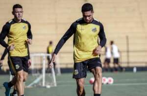 Paulistão: Novorizontino se reapresenta e inicia preparação para duelo das quartas