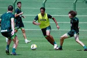 Paraense: Paysandu contrata volante ex-Goiás