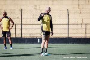 Paulistão: Novorizontino viaja para decisão contra o São Paulo