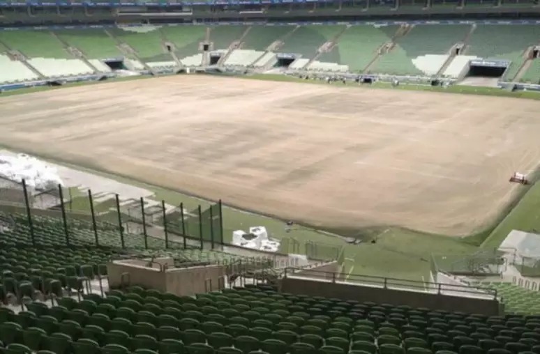 Palmeiras faz teste de novo gramado do Allianz Parque