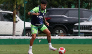Gustavo Gómez se recupera de fratura e fica perto de retorno
