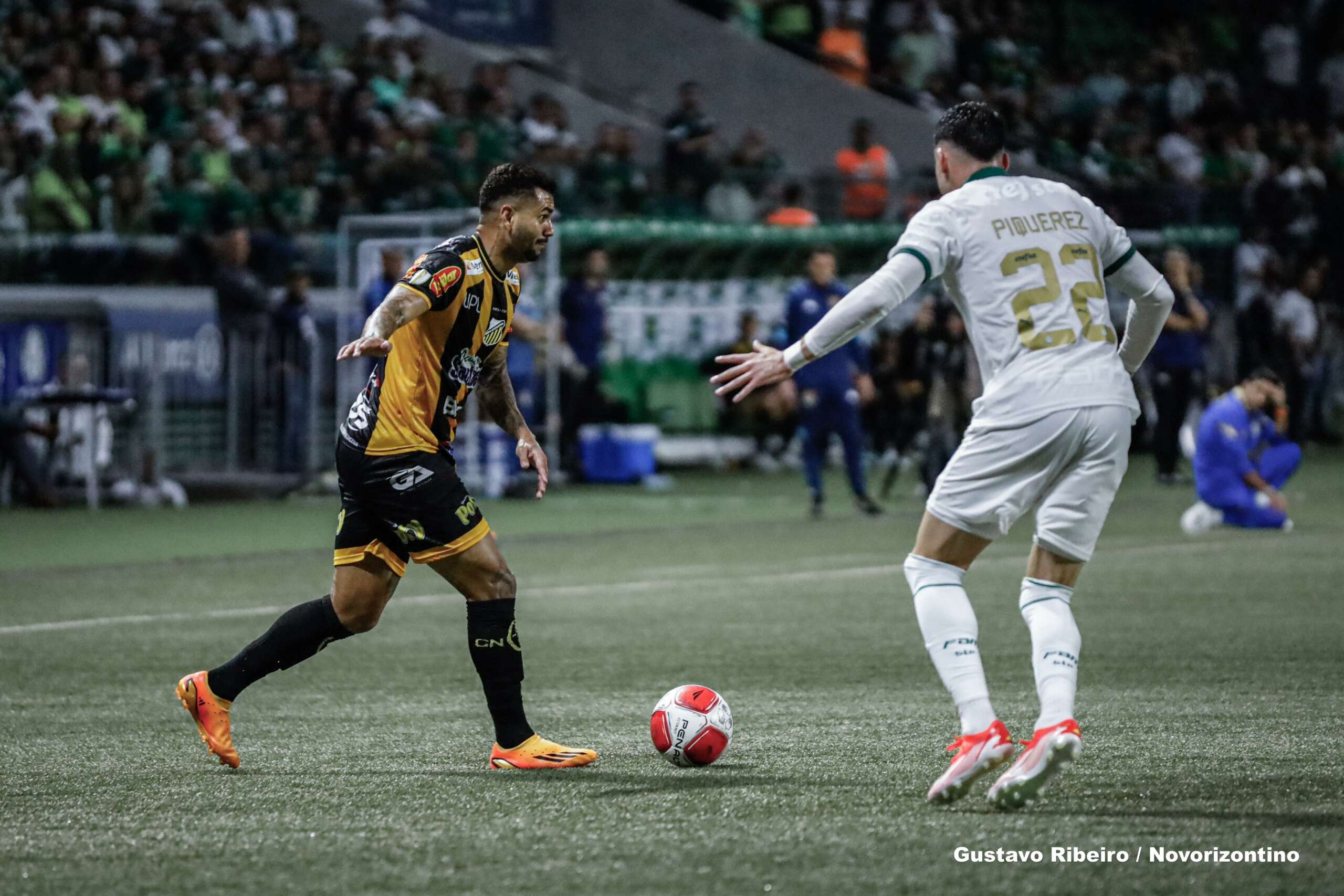 Palmeiras 1 x 0 Novorizontino – Endrick marca e Verdão vai para sua 5ª final consecutiva