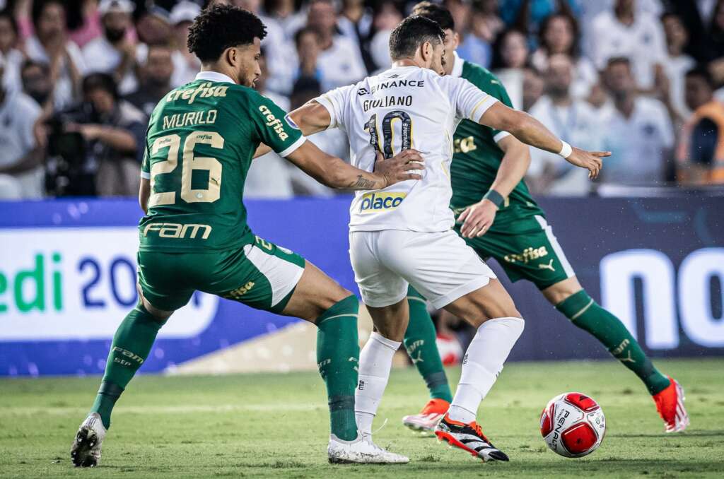 Palmeiras x Santos: onde assistir e escalações!