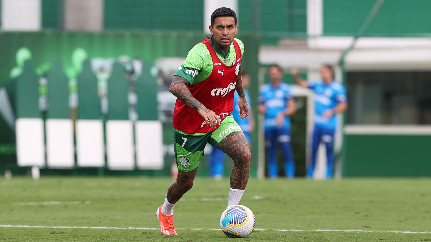 Dudu treina e fica perto de voltar ao Palmeiras; Lázaro prevê ‘ano complicado’
