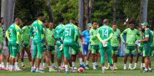 Palmeiras inicia preparação para enfrentar Liverpool pela Libertadores e Endrick é dúvida
