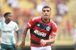 Série B: Avaí negocia e fica perto de anunciar Petterson, atacante do Flamengo