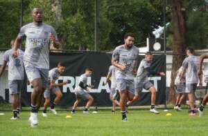 Ponte Preta x Coritiba - Qual será a primeira impressão da Macaca?