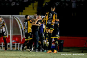 Brusque x Novorizontino - Objetivos distintos na Série B