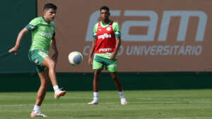 Copa do Brasil: Palmeiras inicia trabalho de olho no Botafogo-SP