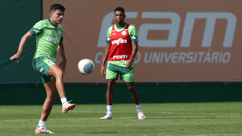 Copa do Brasil: Palmeiras inicia trabalho de olho no Botafogo-SP e reforço treina