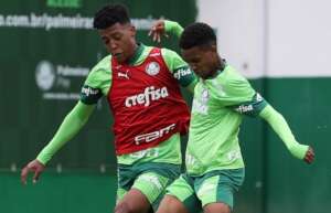 Copa do Brasil: Palmeiras ensaia 'estratégia de pressão' para surpreender o Botafogo-SP