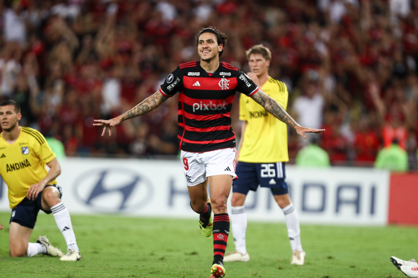 Flamengo classificado na Libertadores