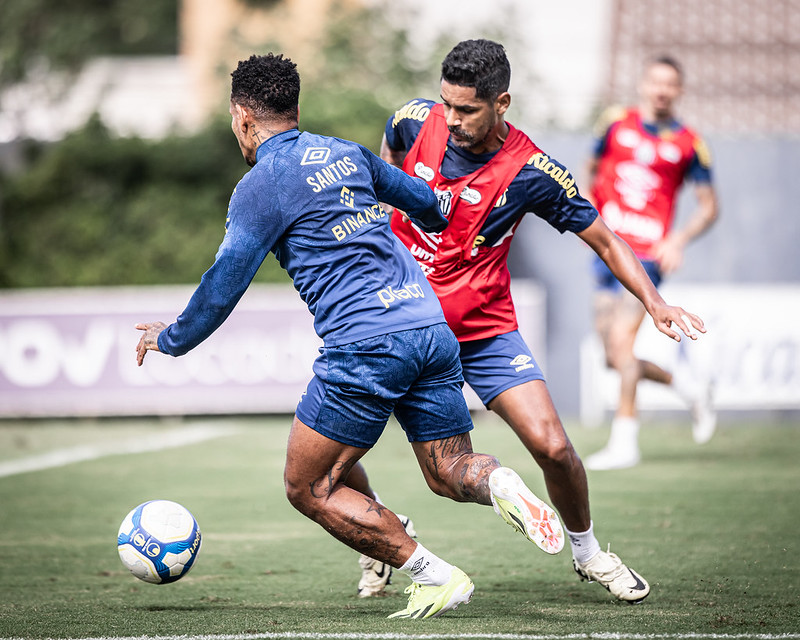 Santos x Botafogo-SP – Peixe tenta voltar a vencer para retomar a liderança da Série B
