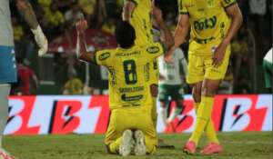 Blog do Ari: A triste 'cara' do Guarani nesta Série B