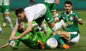 Abel em êxtase com o Palmeiras: 'Mostramos nossa força'