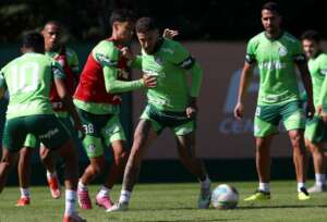 Criciúma x Palmeiras - Primeira partida sem Endrick