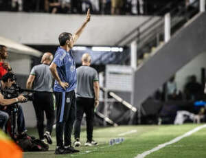 Treinador do Santos admite 