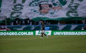 Principal organizada do Guarani 