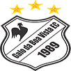 Galo da Boa Vista