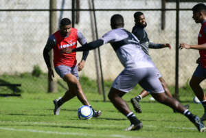 Ponte Preta tem dúvida no meio-campo para encarar Paysandu e manter embalo na Série B