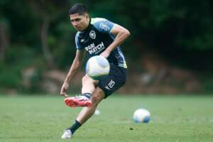 Vitória x Botafogo - Fogão põe boa fase à prova para seguir na briga pela ponta