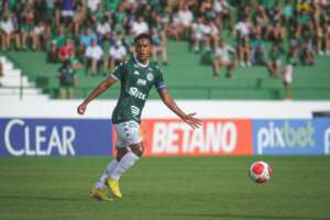 Diogo Mateus segue 'afastado' e deve deixar Guarani em breve na Série B