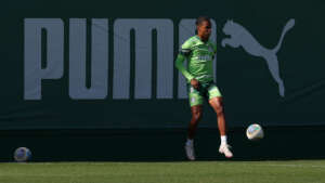 Abel ajusta Palmeiras contra fator 'Maracanã' e Vanderlan pede cautela com Flu: 'Jogo difícil'