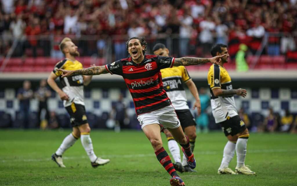 Pedro Flamengo 2024