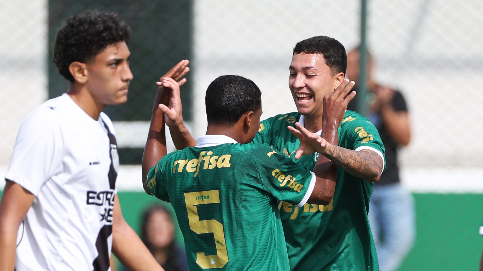 Ponte Preta Palmeiras 2024