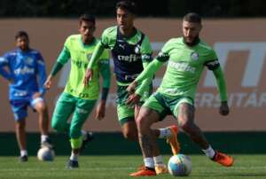 Palmeiras x Cruzeiro - Verdão busca reabilitação contra Raposa embalada