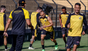 Avaí x Novorizontino - Leão mira a liderança, contra Tigre querendo flertar o G4