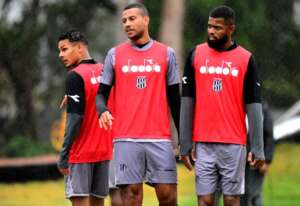 Ponte Preta x Mirassol - Macaca busca 4ª vitória seguida em casa e Leão quer o G-4