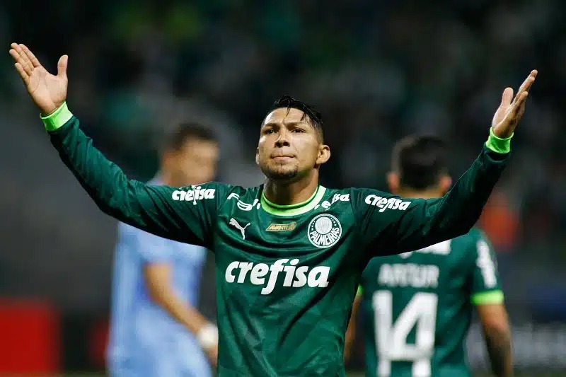 Palmeiras