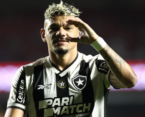 BRASILEIRÃO: Botafogo líder e Palmeiras na caça entram em campo neste sábado