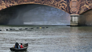 Olimpíadas: Organização cancela treino de reconhecimento do triatlo no Sena por causa da qualidade da água