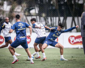 Santos x Avaí - Peixe quer seguir isolado na ponta. Onde assistir e escalações!