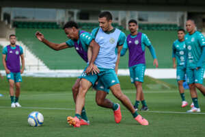 Guarani x Santos - Peixe quer liderança e Bugre sair da lanterna. Onde assistir e escalações!