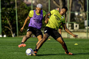 América-MG x Chapecoense - Duelo com objetivos opostos na Série B. Onde assistir e escalações!