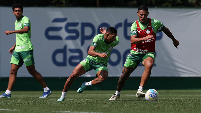 Brasileirão Palmeiras