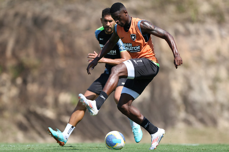 Bahia x Botafogo – Tricolor vai acabar com a festa do Fogão? Onde assistir e escalações!