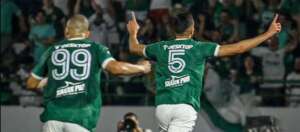 Blog do Ari - Sem jogo do Guarani, bugrino deve ver Chapecoense x CRB