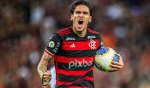 Sérgio Carvalho - Copa do Brasil - emoções e casas cheias