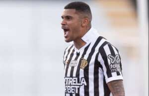 Blog do Ari - Perfil da Ponte Preta não é de quem vai subir