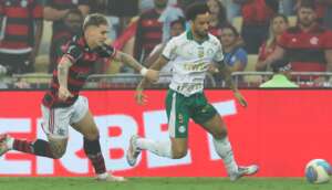 Palmeiras x Flamengo - Verdão vai com tudo para reverter 2 a 0