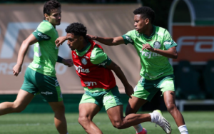 LIBERTADORES: Botafogo enfrenta o Palmeiras pelo primeiro jogo das Oitavas de Final