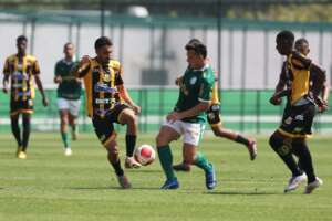 Paulista Sub-20: Novorizontino luta até o fim, mas é superado pelo Palmeiras