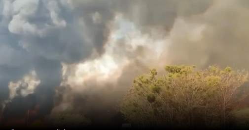 Incêndios - queimadas - São Paulo