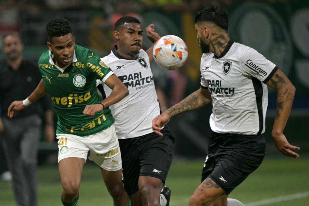 Torcedor perde a cabeça e mostra o “peru” após eliminação do Palmeiras
