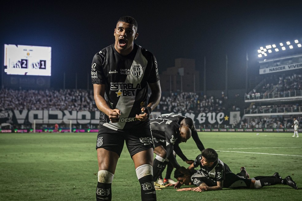 Série B: Lesionado, atacante desfalca Ponte Preta diante da Chapecoense (Foto: Anderson Lira / PontePress)